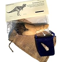 DINOSAURS ROCK Tyrannosaurus Rex Tooth Replica - T-Rex - Plus